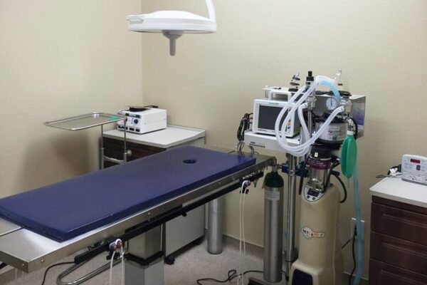 animal-hospital-surgery animal-hospital-surgery