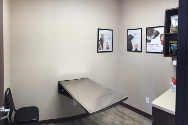 exam-room exam-room