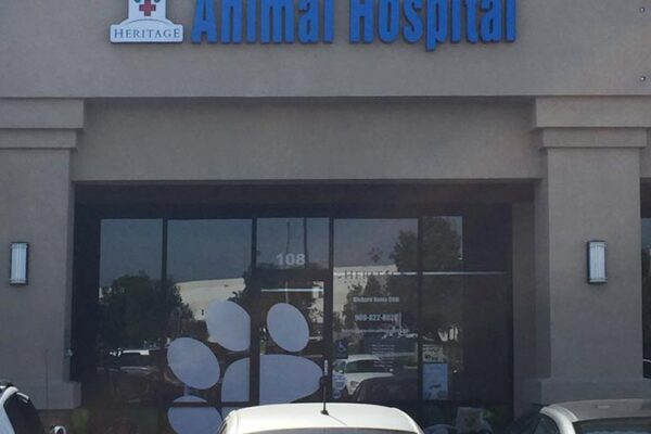 heritage-animal-hospital heritage-animal-hospital