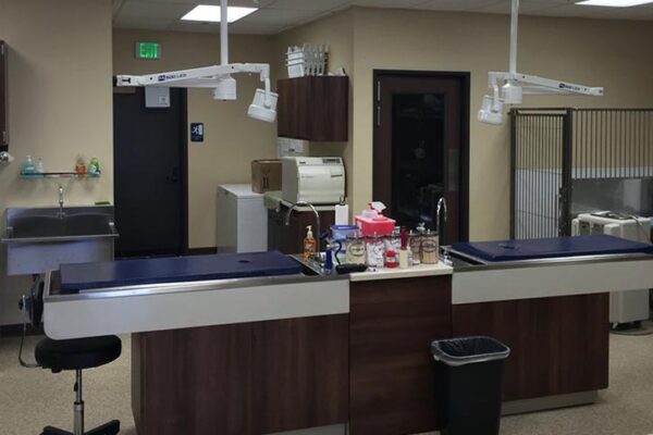 treatment-room treatment-room